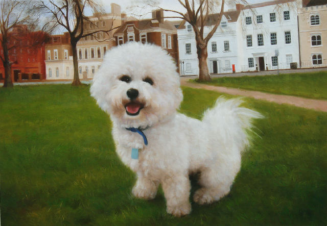Blauw's Beautiful Dog Portrait