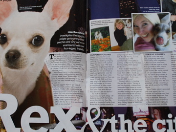 Amanda shows off our dog portrait of Harvey in Dogs Monthly Magazine