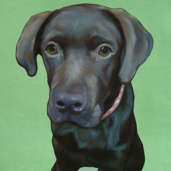 Dog Portrait by Top Portrait Artist