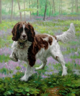 Pet Portraits by Pet Artists