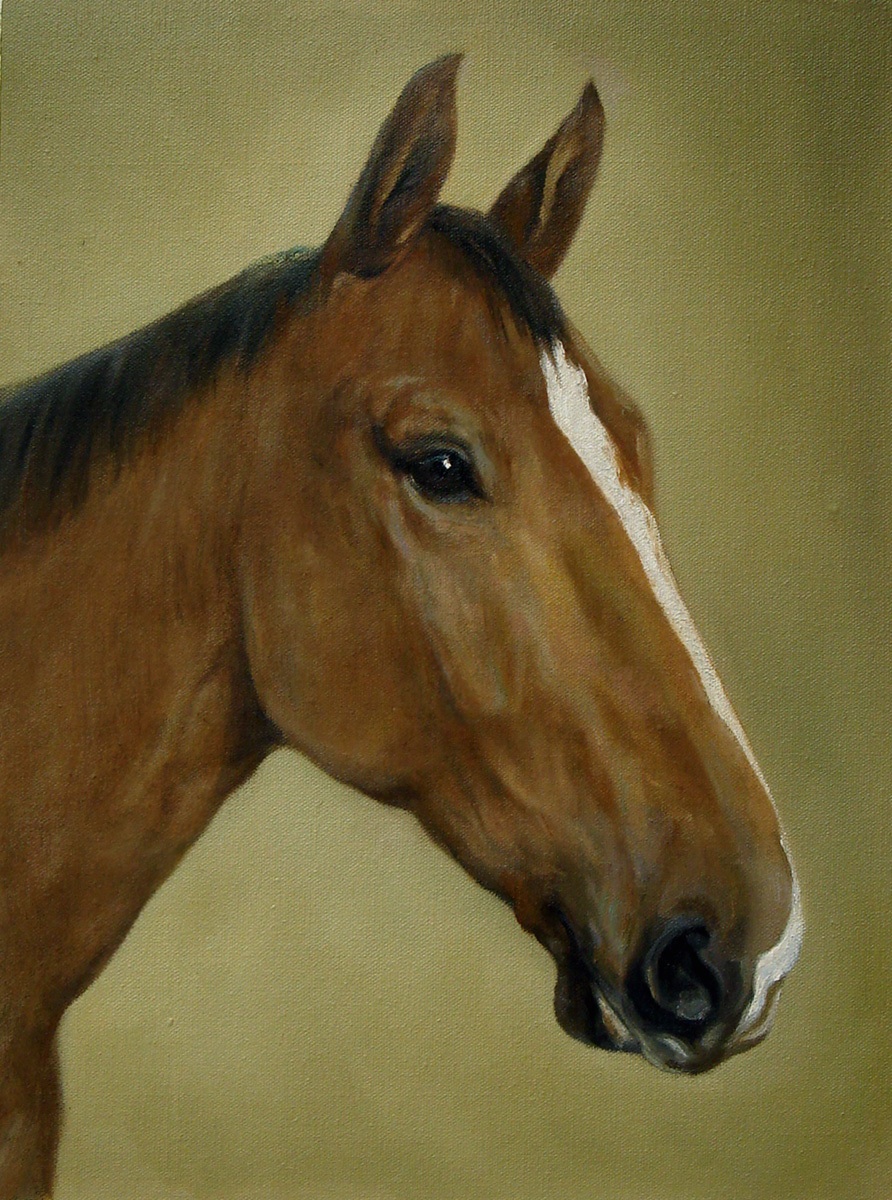 Hand painted horse porait. Oil on canvas.