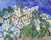 Van Gogh - Blossoming Chestnut Branches