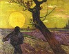 Van Gogh, The Sower
