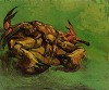 Van Gogh, Crab on its Back