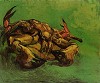 Van Gogh, Crab on its Back