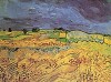 Van Gogh The Fields