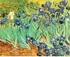 Van Gogh, Irises