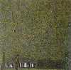 Klimt The Park